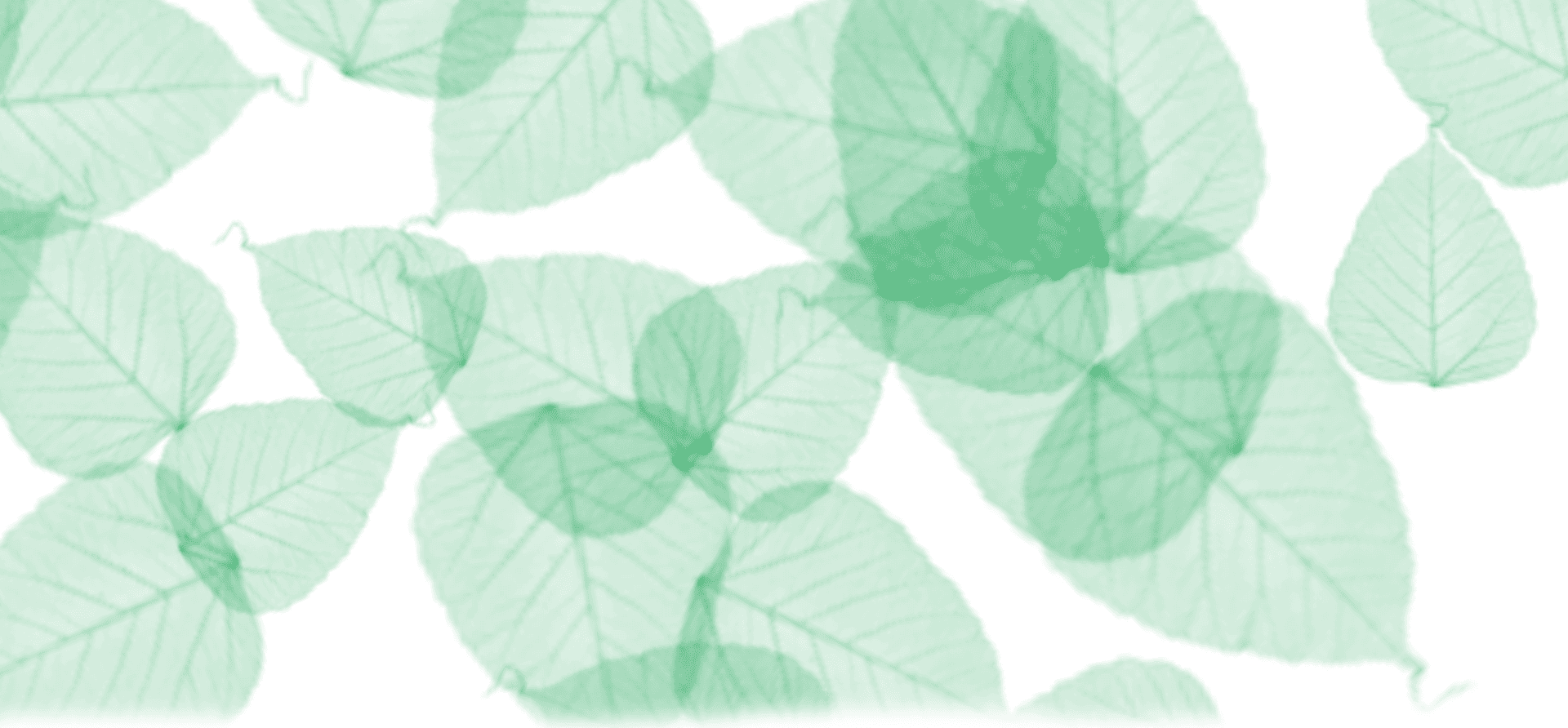 The Sigma Watertech Corporation