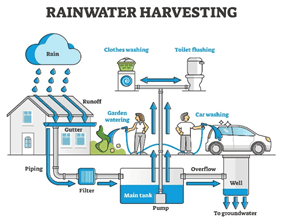 Rain Water Harvesting